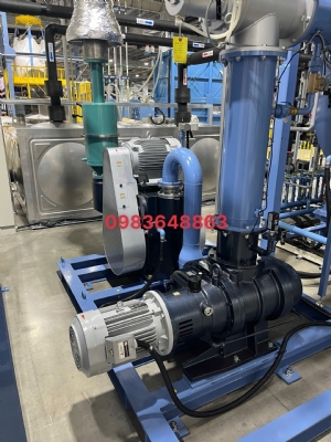 Bơm chân không Shinko-seiki SR-75BI